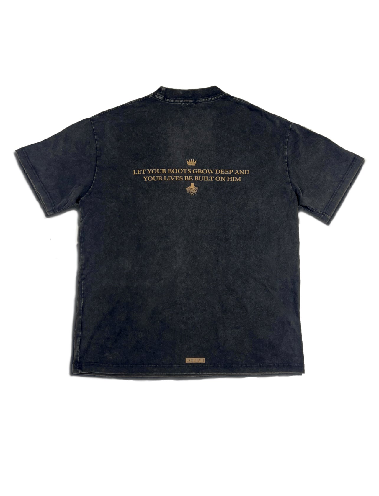 JESUS ROOTS Vintage Oversized Tee